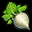 Fichier:Sugar Beets.png